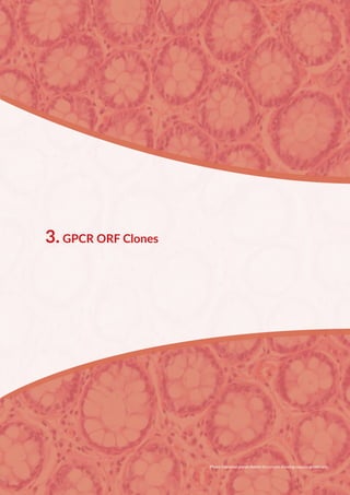 3. GPCR ORF Clones
Photo: Intestinal glands lieberk hn s crypts showing mucous goblet cells.
 