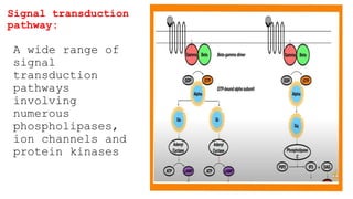 GPCRs G protein coupled receptors and examples of drugs .pptx