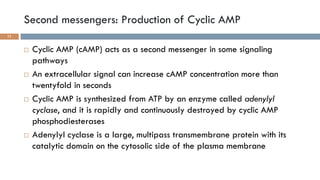 GPCRs and their second messengers