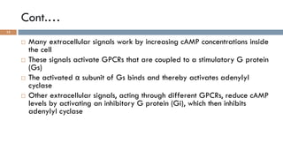 GPCRs and their second messengers