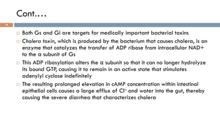 GPCRs and their second messengers