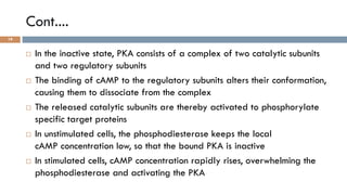 GPCRs and their second messengers