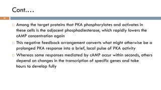 GPCRs and their second messengers