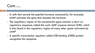 GPCRs and their second messengers