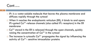 GPCRs and their second messengers