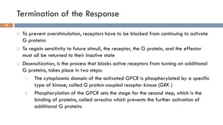 GPCRs and their second messengers