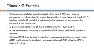 GPCRs and their second messengers