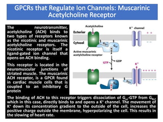 The neurotransmitter,
acetylcholine (ACH) binds to
two types of receptors known
as the nicotinic and muscarinic
acetylcholine receptors. The
nicotinic receptor is itself a
ligand-gated ion channel that
opens on ACH binding.
This receptor is located in the
neuromuscular junctions of
striated muscle. The muscarinic
ACH receptor, is a GPCR found
in cardiac muscle cells that is
coupled to an inhibitory G
protein
The binding of ACH to this receptor triggers dissociation of Gai-GTP from Gßg,
which in this case, directly binds to and opens a K+ channel. The movement of
K+ down its concentration gradient to the outside of the cell, increases the
positive charge outside the membrane, hyperpolarizing the cell. This results in
the slowing of heart rate.
 