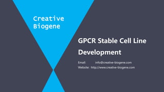 Email: info@creative-biogene.com
Website: http://www.creative-biogene.com
GPCR Stable Cell Line
Development
Creative
Biogene
 