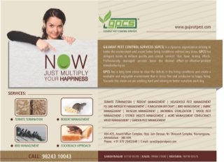 Anti Termite Treatment Solution