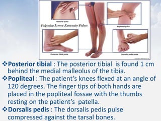 Posterior tibial : The posterior tibial is found 1 cm
behind the medial malleolus of the tibia.
Popliteal : The patient’s knees flexed at an angle of
120 degrees. The finger tips of both hands are
placed in the popliteal fossae with the thumbs
resting on the patient’s patella.
Dorsalis pedis : The dorsalis pedis pulse
compressed against the tarsal bones.
 