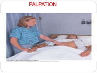 PALPATION
 