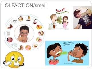 OLFACTION/smell
 