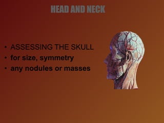 HEAD AND NECK
• ASSESSING THE SKULL
• for size, symmetry
• any nodules or masses
 
