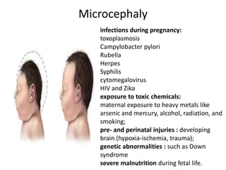 Microcephaly
infections during pregnancy:
toxoplasmosis
Campylobacter pylori
Rubella
Herpes
Syphilis
cytomegalovirus
HIV and Zika
exposure to toxic chemicals:
maternal exposure to heavy metals like
arsenic and mercury, alcohol, radiation, and
smoking;
pre- and perinatal injuries : developing
brain (hypoxia-ischemia, trauma);
genetic abnormalities : such as Down
syndrome
severe malnutrition during fetal life.
 