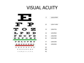 VISUAL ACUITY
 