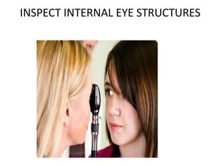 INSPECT INTERNAL EYE STRUCTURES
 
