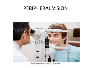 PERIPHERAL VISION
 