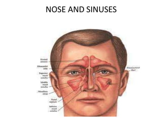 NOSE AND SINUSES
 