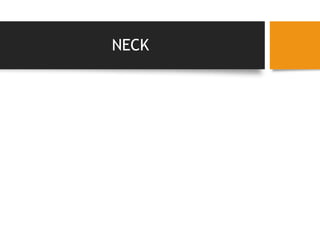 NECK
• During palpation of lymph nodes the following
features should be considered;
• SITE
-Localised or generalised?
-palpable lymph node areas are;
Epitrochlear,axillary,cervical and
occipital,supraclavicular,para-aortic,inguinal
and popliteal.
 