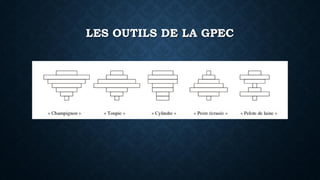 LES OUTILS DE LA GPEC
 