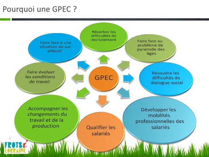 Tout Savoir Sur La Gpec _ Passer de la GPEC à la GEPP en 2024 – WEWMO
