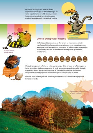 12
©Peter Bohot/Pixelio
©Theirishimagecollection/Corbis
As vespas também
gostam de fruta!
Os lagartos gostam
do tempo quente.
Os esquilos
armazenam avelãs
para o inverno.
O outono cobre as florestas com
um tapete multicolor.
Os animais de sangue frio, como os répteis,
necessitam também que o sol lhes dê energia. No
verão, especialmente no Sul da Europa, veem-se
frequentemente os lagartos estendidos ao sol
e ouvem-se os gafanhotos e o canto das cigarras.
Outono: uma época de mudança
No final do verão e no outono, os dias tornam-se mais curtos e as noites
mais frescas. Muitos frutos deliciosos amadurecem nesta época do ano e os
agricultores estão ocupados com as colheitas. As avelãs também amadurecem
no outono e os esquilos recolhem e armazenam grandes quantidades
para o inverno.
Muitas árvores perdem as folhas no outono, uma vez que deixa de haver sol suficiente para as
folhas serem úteis. Mudam gradualmente de verde para tons de amarelo, vermelho, dourado
e castanho. Depois caem, atapetando o chão de cor. As folhas mortas decompõem-se,
enriquecendo o solo e proporcionando alimento para futuras gerações de plantas.
Este ciclo anual das estações, com as mudanças que traz, dá aos campos da Europa grande
beleza e variedade.
 