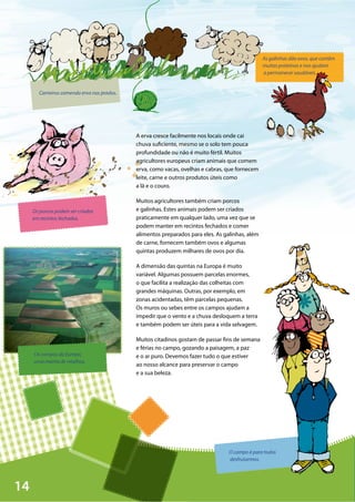 14
©SylvainSaustier/Corbis
Os porcos podem ser criados
em recintos fechados.
Carneiros comendo erva nos prados.
As galinhas dão ovos, que contêm
muitas proteínas e nos ajudam
a permanecer saudáveis.
O campo é para todos
desfrutarmos.
Os campos da Europa,
uma manta de retalhos.
A erva cresce facilmente nos locais onde cai
chuva suficiente, mesmo se o solo tem pouca
profundidade ou não é muito fértil. Muitos
agricultores europeus criam animais que comem
erva, como vacas, ovelhas e cabras, que fornecem
leite, carne e outros produtos úteis como
a lã e o couro.
Muitos agricultores também criam porcos
e galinhas. Estes animais podem ser criados
praticamente em qualquer lado, uma vez que se
podem manter em recintos fechados e comer
alimentos preparados para eles. As galinhas, além
de carne, fornecem também ovos e algumas
quintas produzem milhares de ovos por dia.
A dimensão das quintas na Europa é muito
variável. Algumas possuem parcelas enormes,
o que facilita a realização das colheitas com
grandes máquinas. Outras, por exemplo, em
zonas acidentadas, têm parcelas pequenas.
Os muros ou sebes entre os campos ajudam a
impedir que o vento e a chuva desloquem a terra
e também podem ser úteis para a vida selvagem.
Muitos citadinos gostam de passar fins de semana
e férias no campo, gozando a paisagem, a paz
e o ar puro. Devemos fazer tudo o que estiver
ao nosso alcance para preservar o campo
e a sua beleza.
 