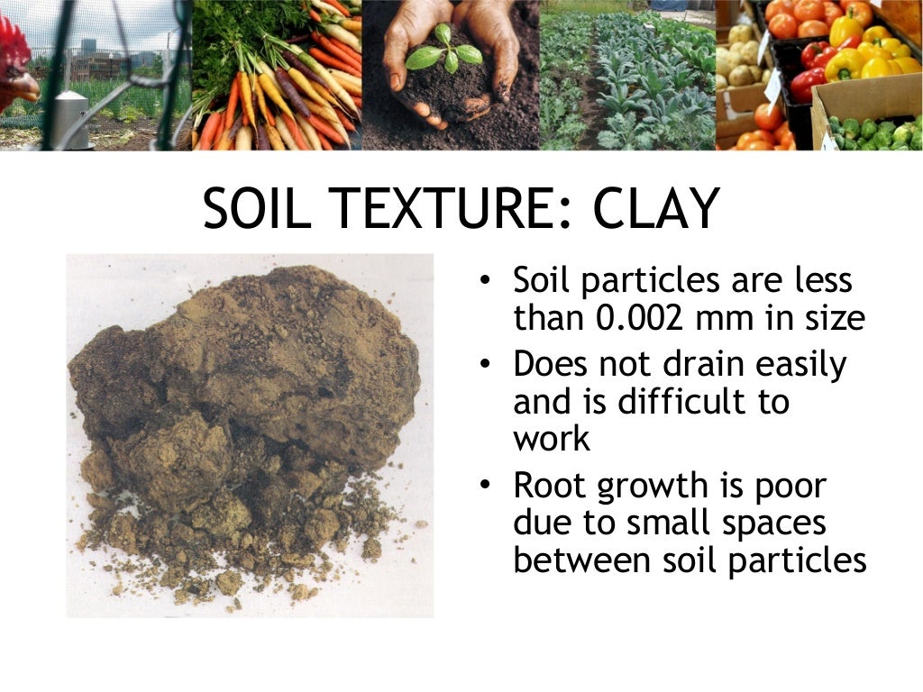 Basics of Soil Fertility for Urban (and NonUrban) Growers