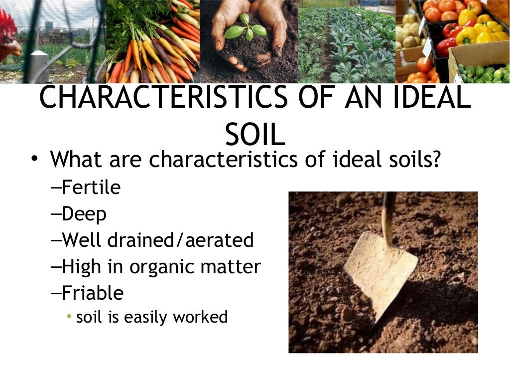 Basics of Soil Fertility for Urban (and NonUrban) Growers