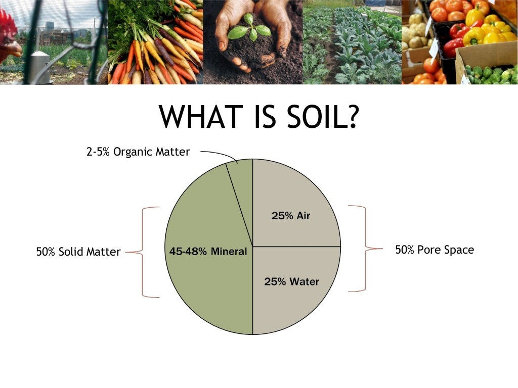 Basics of Soil Fertility for Urban (and NonUrban) Growers