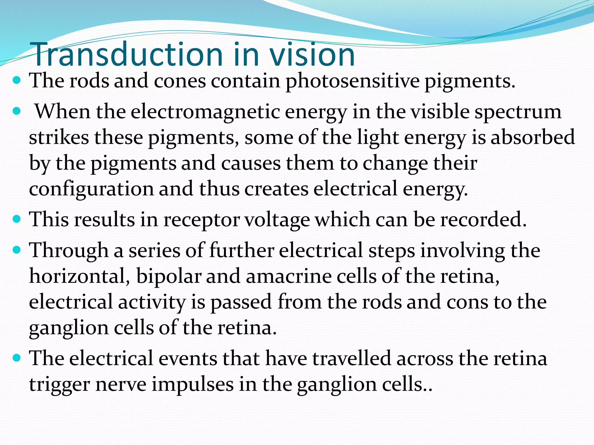 Transduction in vision
 The rods and cones contain photosensitive pigments.
 When the electromagnetic energy in the visible spectrum
strikes these pigments, some of the light energy is absorbed
by the pigments and causes them to change their
configuration and thus creates electrical energy.
 This results in receptor voltage which can be recorded.
 Through a series of further electrical steps involving the
horizontal, bipolar and amacrine cells of the retina,
electrical activity is passed from the rods and cons to the
ganglion cells of the retina.
 The electrical events that have travelled across the retina
trigger nerve impulses in the ganglion cells..
 