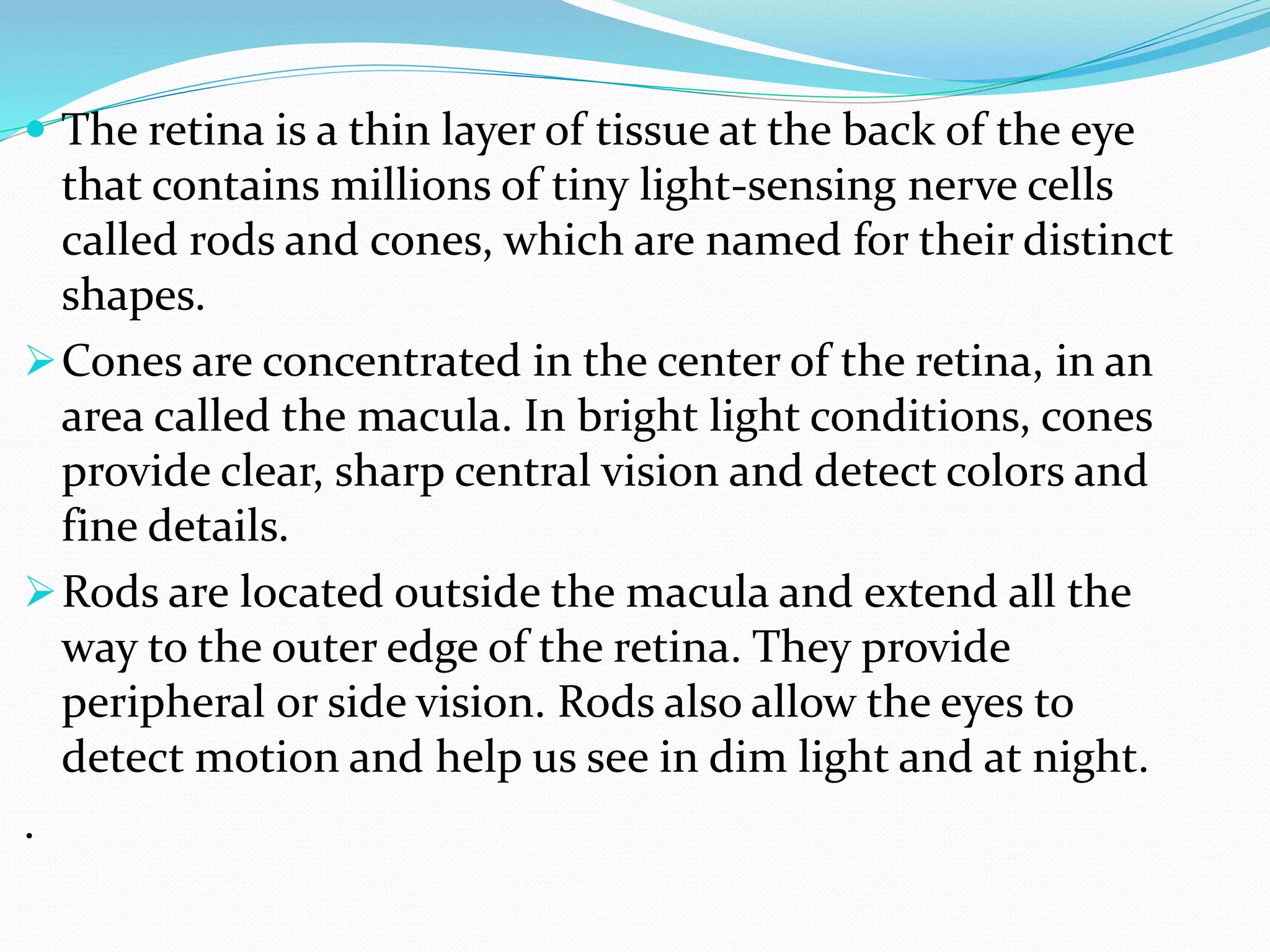  The retina is a thin layer of tissue at the back of the eye
that contains millions of tiny light-sensing nerve cells
called rods and cones, which are named for their distinct
shapes.
Cones are concentrated in the center of the retina, in an
area called the macula. In bright light conditions, cones
provide clear, sharp central vision and detect colors and
fine details.
Rods are located outside the macula and extend all the
way to the outer edge of the retina. They provide
peripheral or side vision. Rods also allow the eyes to
detect motion and help us see in dim light and at night.
.
 