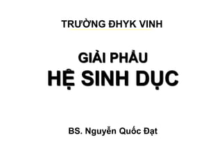 GIẢI PHẨU
HỆ SINH DỤC
TRƯỜNG ĐHYK VINH
BS. Nguyễn Quốc Đạt
 