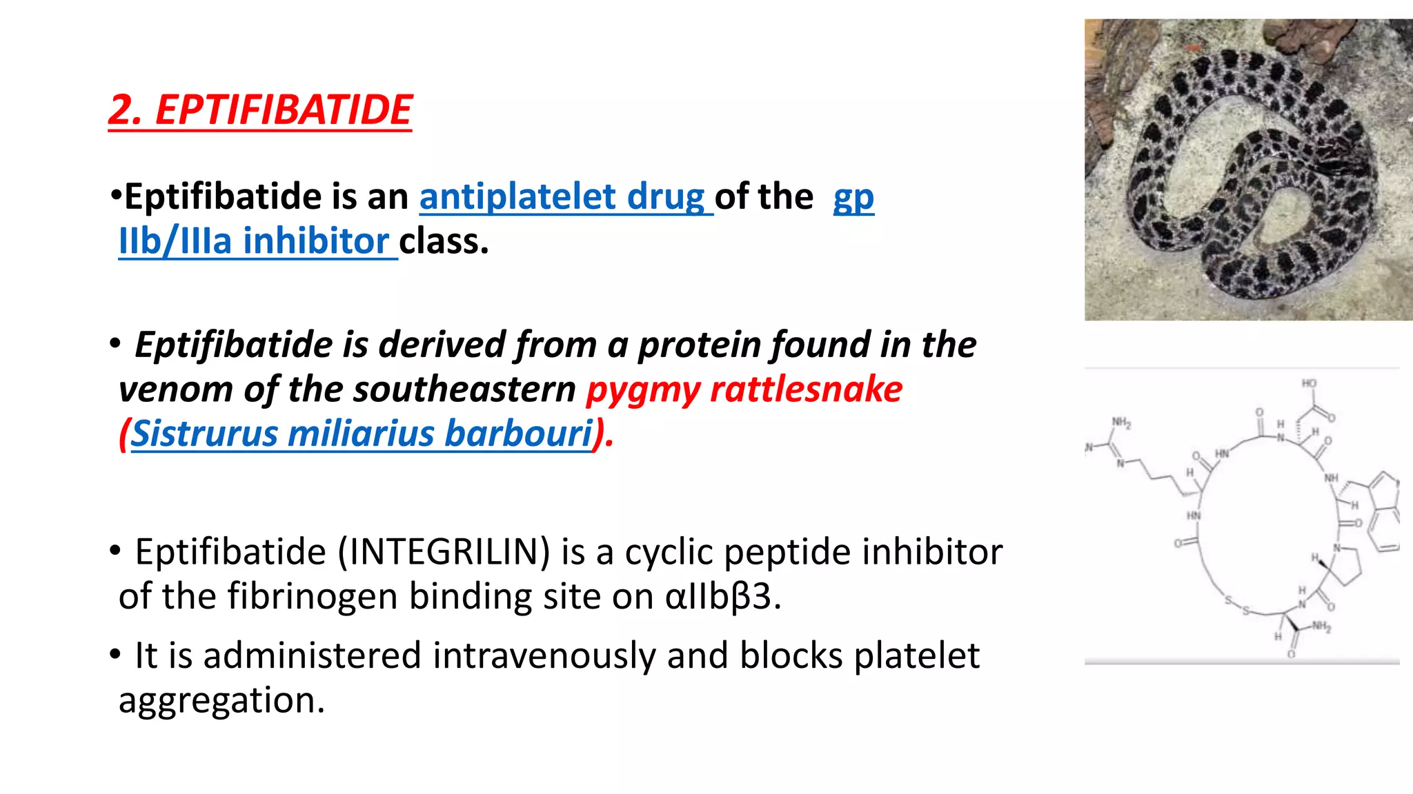 2. EPTIFIBATIDE
•Eptifibatide is an antiplatelet drug of the gp
IIb/IIIa inhibitor class.
• Eptifibatide is derived from a protein found in the
venom of the southeastern pygmy rattlesnake
(Sistrurus miliarius barbouri).
• Eptifibatide (INTEGRILIN) is a cyclic peptide inhibitor
of the fibrinogen binding site on αIIbβ3.
• It is administered intravenously and blocks platelet
aggregation.
 