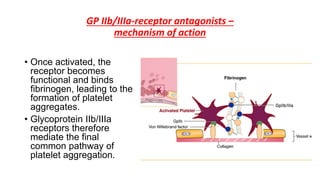 GP IIb/IIIa-receptor antagonists –
mechanism of action
• Once activated, the
receptor becomes
functional and binds
fibrinogen, leading to the
formation of platelet
aggregates.
• Glycoprotein IIb/IIIa
receptors therefore
mediate the final
common pathway of
platelet aggregation.
 