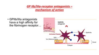 GP IIb/IIIa-receptor antagonists –
mechanism of action
• GPIIb/IIIa antagonists
hava a high affinity for
the fibrinogen receptor…
 