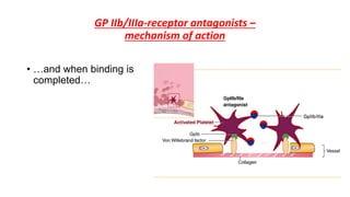 GP IIb/IIIa-receptor antagonists –
mechanism of action
• …and when binding is
completed…
 