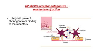 GP IIb/IIIa-receptor antagonists –
mechanism of action
• …they will prevent
fibrinogen from binding
to the receptors.
 