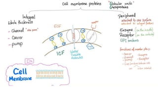 Gp i ib final