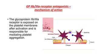 GP IIb/IIIa-receptor antagonists –
mechanism of action
• The glycoprotein IIb/IIIa
receptor is exposed on
the platelet membrane
after activation and is
responsible for
mediating platelet
aggregation.
 