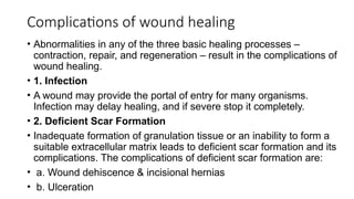 Comprehensive Overview of Wound Repair, Healing, and Fracture Recovery ...
