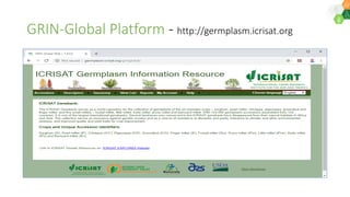 ICRISAT Global Planning Meeting 2019: ICT Infrastructure Management by SMC team