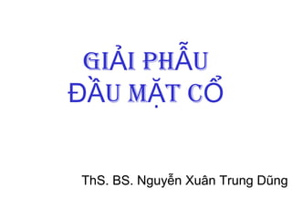 GIẢI PHẪU 
ĐẦU MẶT CỔ 
ThS. BS. Nguyễn Xuân Trung Dũng 
 