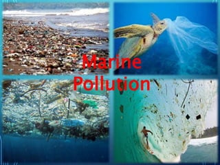 Marine
Pollution
 