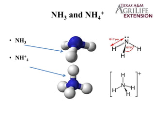 NH3 and NH4
+
• NH3
• NH+
4
 