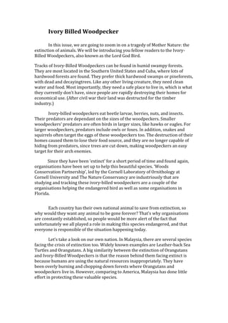 Ivory Billed Woodpecker | PDF