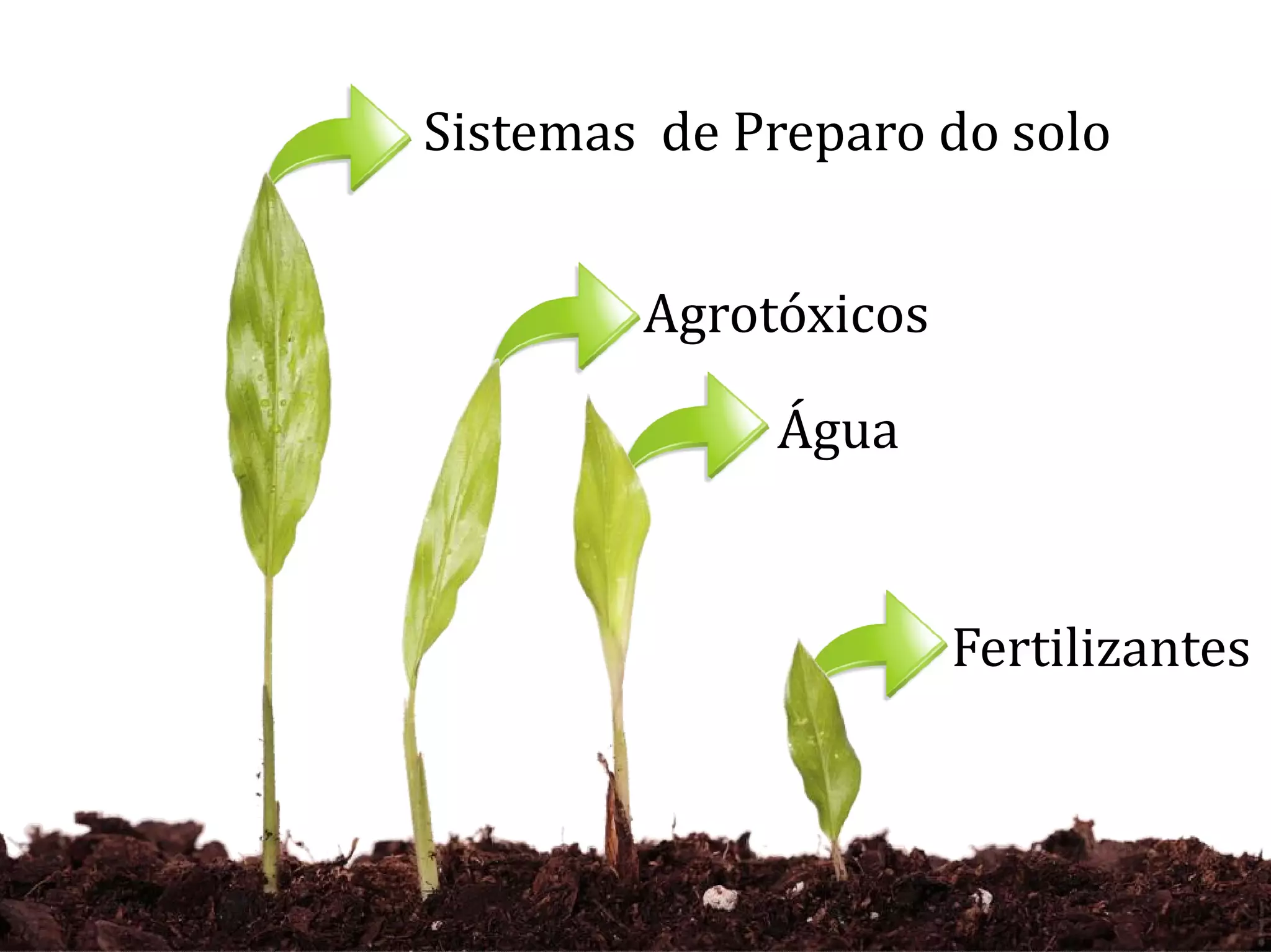 Sistemas de Preparo do solo
Agrotóxicos
Água
Fertilizantes