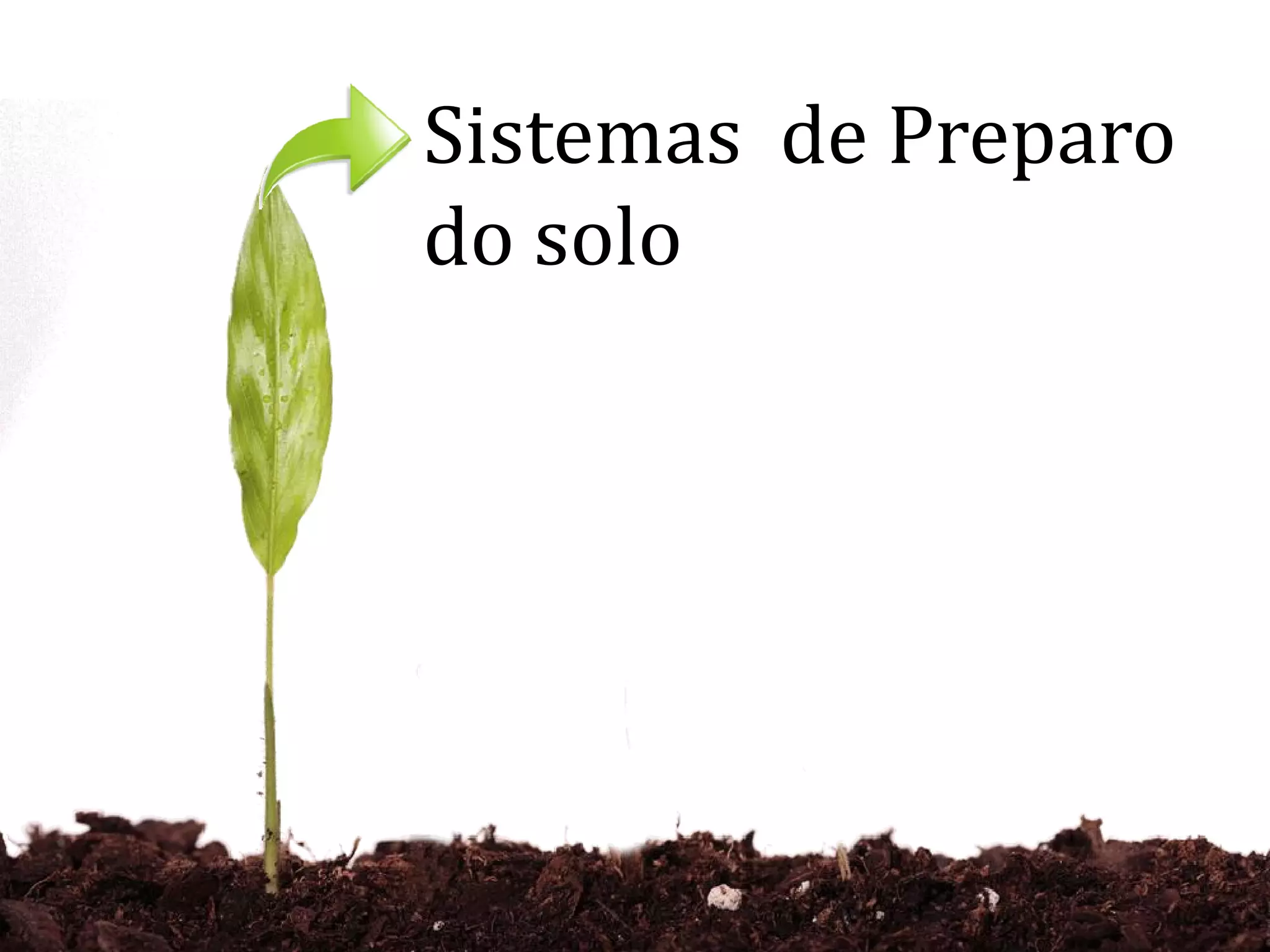 Sistemas de Preparo
do solo