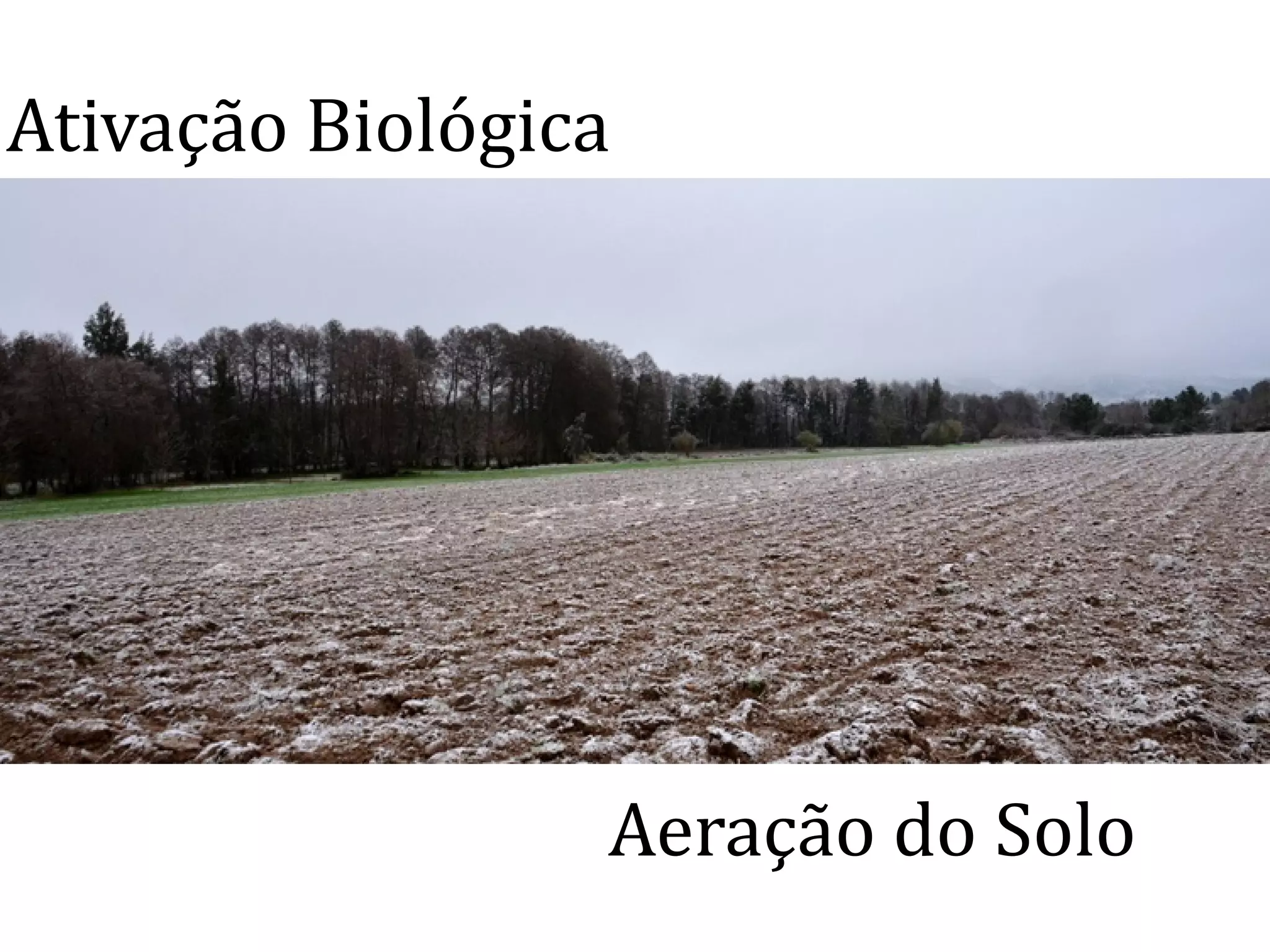Ativação Biológica
Aeração do Solo